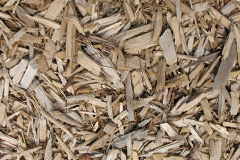 biomass boilers Errol