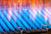 Errol gas fired boilers